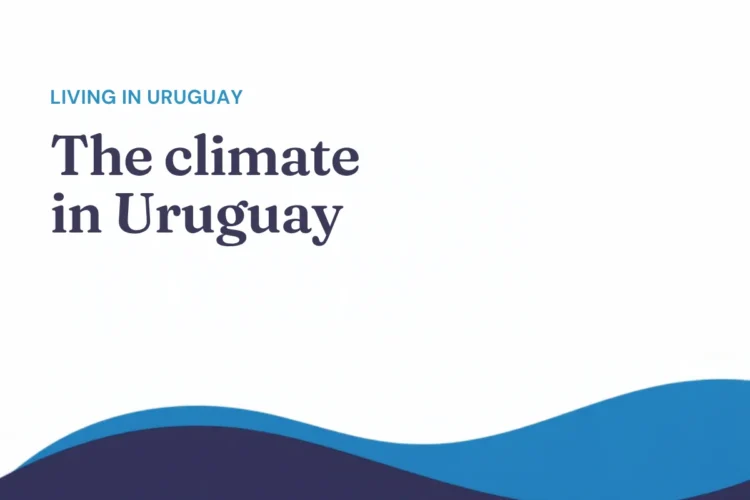 The climate in Uruguay: what living through the four seasons is like